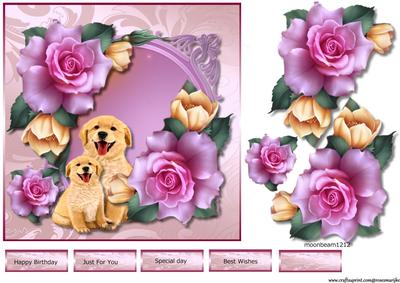 Roses for You