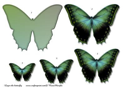 Butterfly Beauty 3