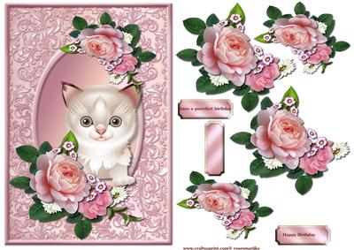 Purrrfect Birthday 5