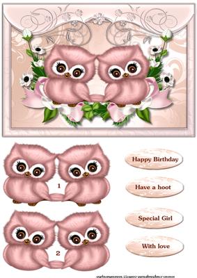 Cute Pink Owls