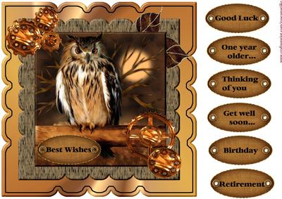 Scallop Topper Male Card Wise Owl