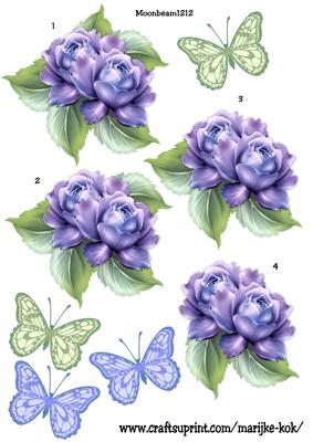 Step by Step Roses & Butterflies