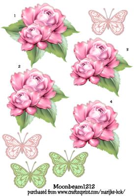 Step by Step Pink Roses & Butterflies