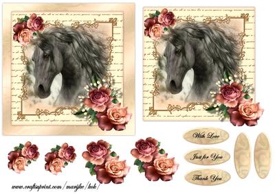 Horse & Roses