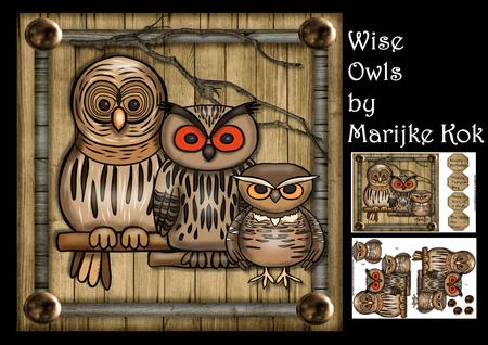 Mini Kit Wise Owls Male Card