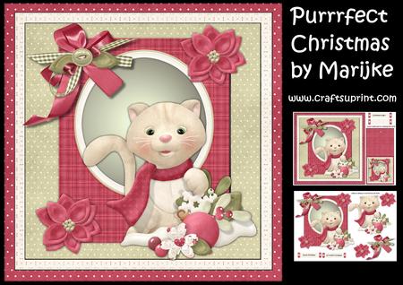 Purrrfect Christmas !