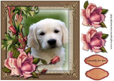 Puppy Love 2