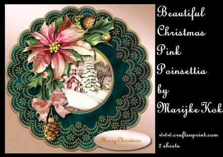 Beautiful Christmas Pink Poinsettia