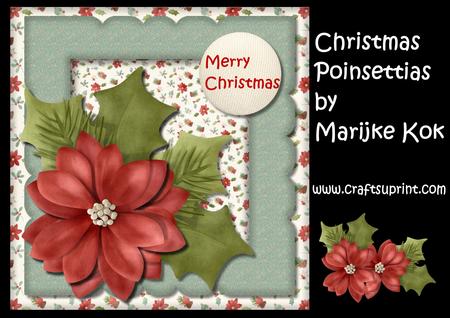 Christmas Poinsettias