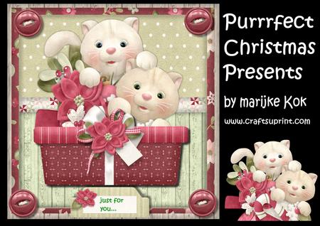Purrrfect Christmas Presents !