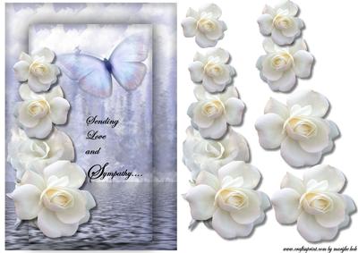 Sympathy Card White Roses