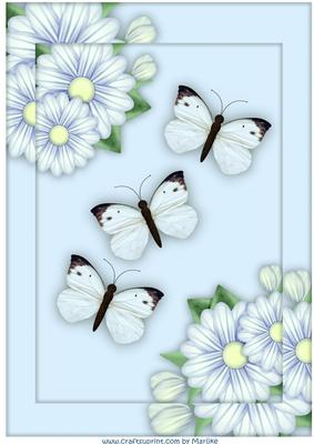 A4 Topper Tender Butterflies - 2