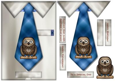 Male Card Tie - another Year Older - owl