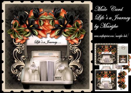 Male Card Life'a Journey