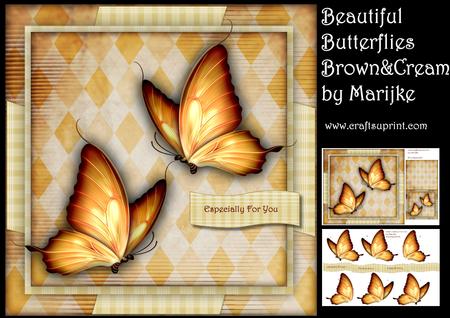 Beautiful Butterflies Cream & Brown Mini Kit