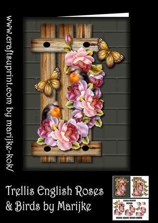 Trellis English Roses & Birds Mini Kit