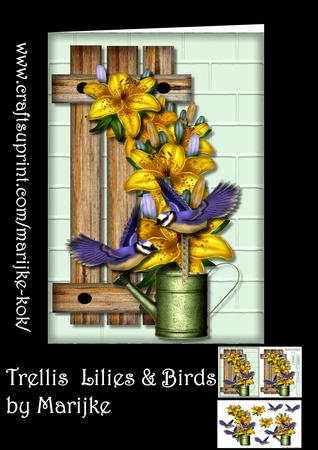 Trellis Lilies & Birds Mini Kit