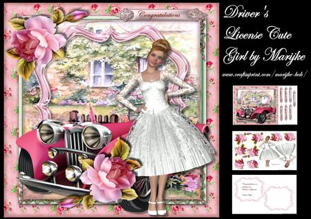 Driver's License Cute Girl Retro Car Mini Kit