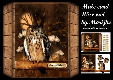Male Card Wise Owl Mini Kit