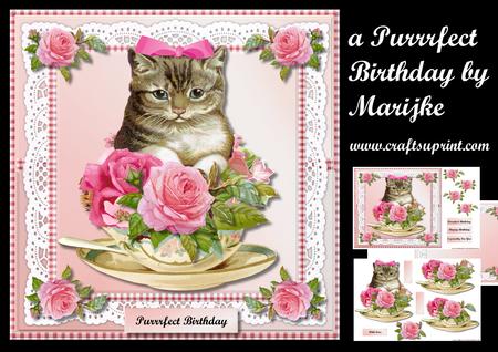 A Purrrfect Birthday Mini Kit