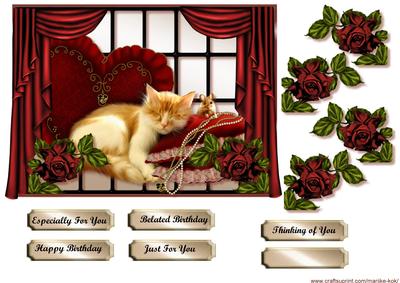 Sleepy Kitten 2 ( Belated Birthday)