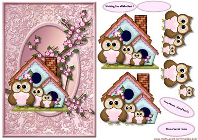New Home Family Owl