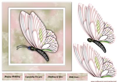 Beautiful Butterfly in Pink