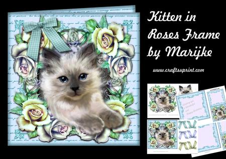 Kitten in Roses Frame Mini Kit