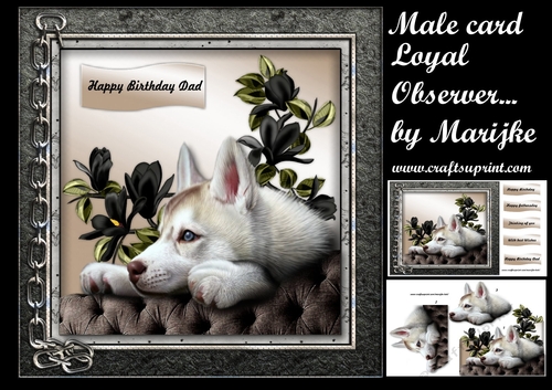 Male Card Loyal Observer Mini Kit