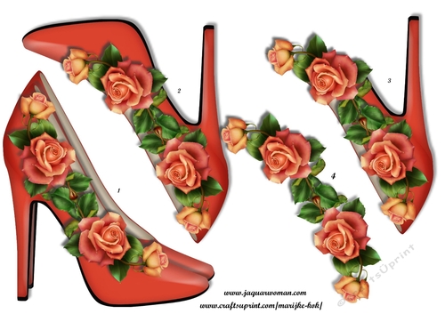 Shoes & Roses 1