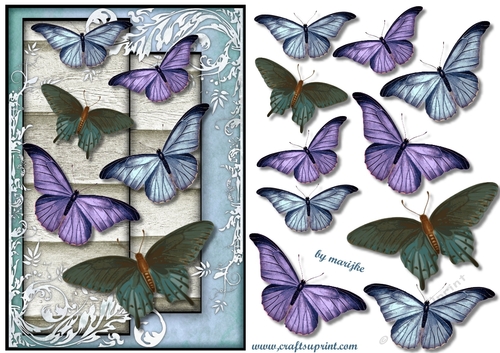 Vintage Butterflies