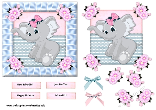 New baby Girl baby Elephant