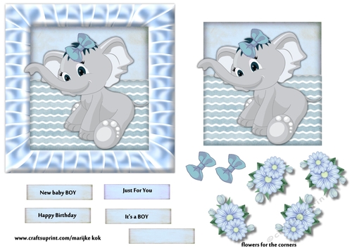 New baby BOY baby Elephant