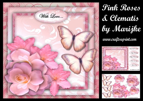 Beautiful Pink Roses & Clematis Mini Kit
