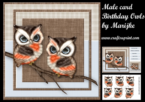 Male Card Birthday owls Mini Kit