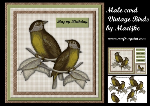 Male card Vintage Birds Mini Kit