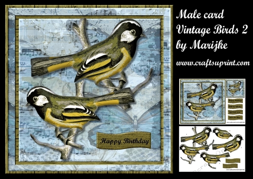 Male card Vintage Birds 2 Mini Kit