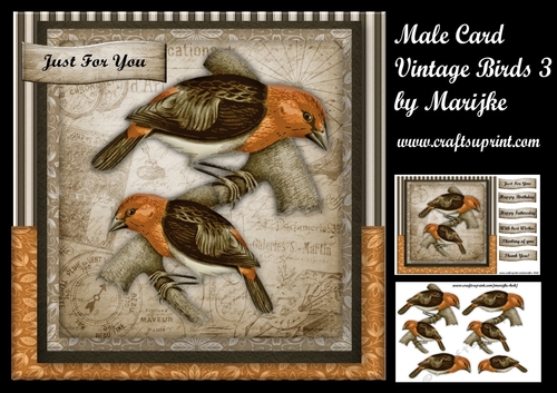 Male card Vintage Birds Mini Ki t3