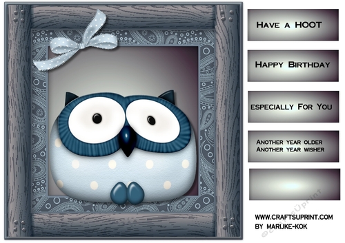 Male Card Topper Wise Owl