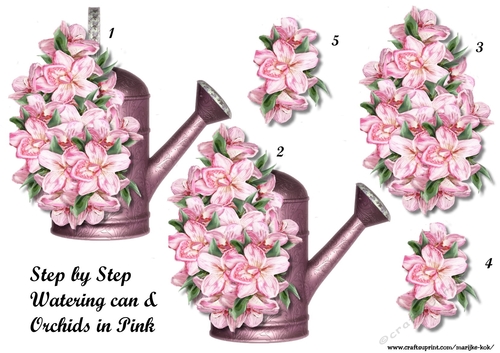 Step By Step Pink orchids & Watering Can