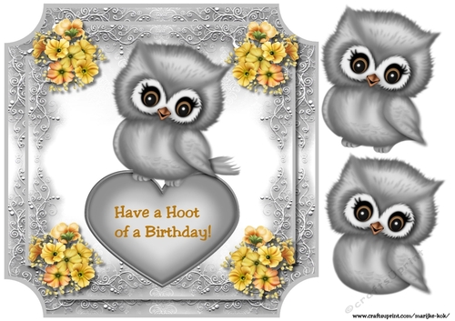 Have a hoot of a Birthday