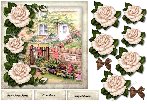 New home English Cottage Cream Roses