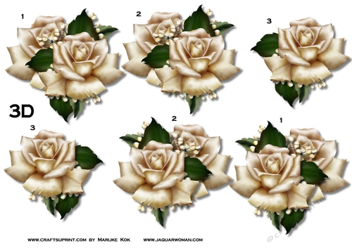 3 D Cream Roses
