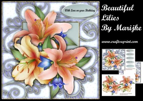 Beautiful Lilies Mini Kit