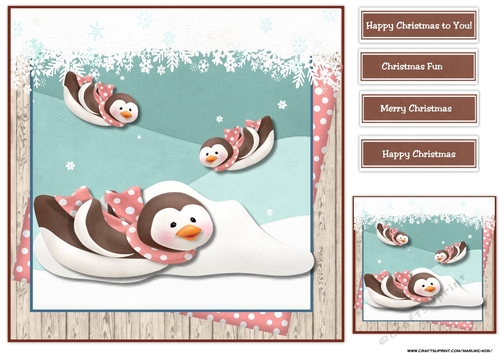 Cute penquins