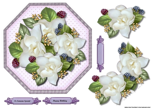 Octagon Topper camelias