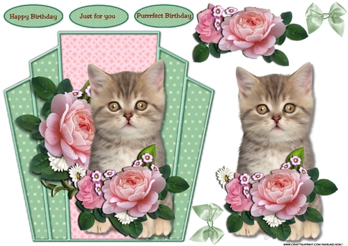 Purrrfect Birthday Cute Kitten &  PinkRoses