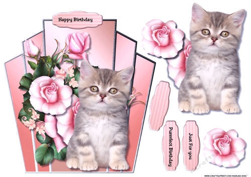 Purrrfect Birthday Cute Kitten &Pink  Roses