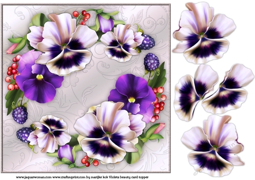 Violets Beauty Card Topper