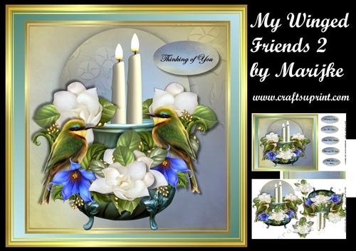 My Winged Friends 2